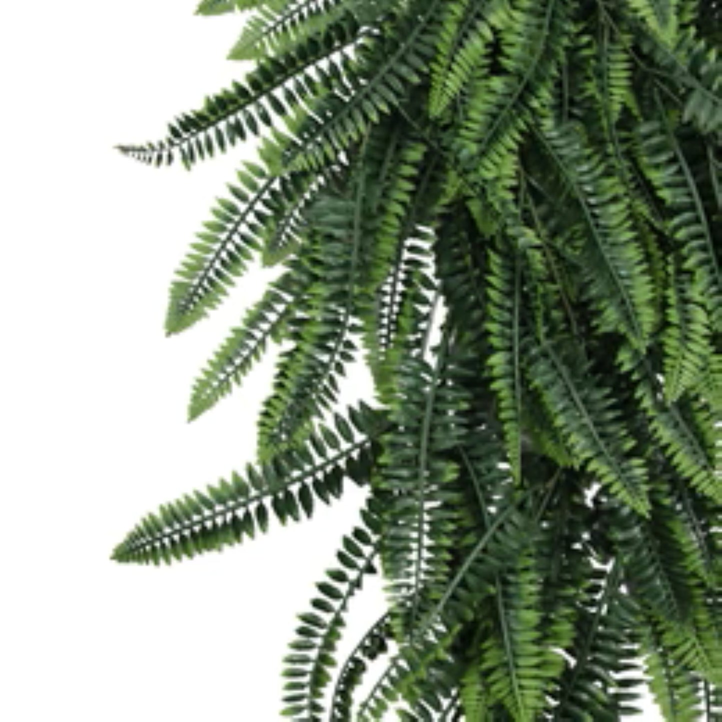 Fire-rated artificial fern garland set of 10
