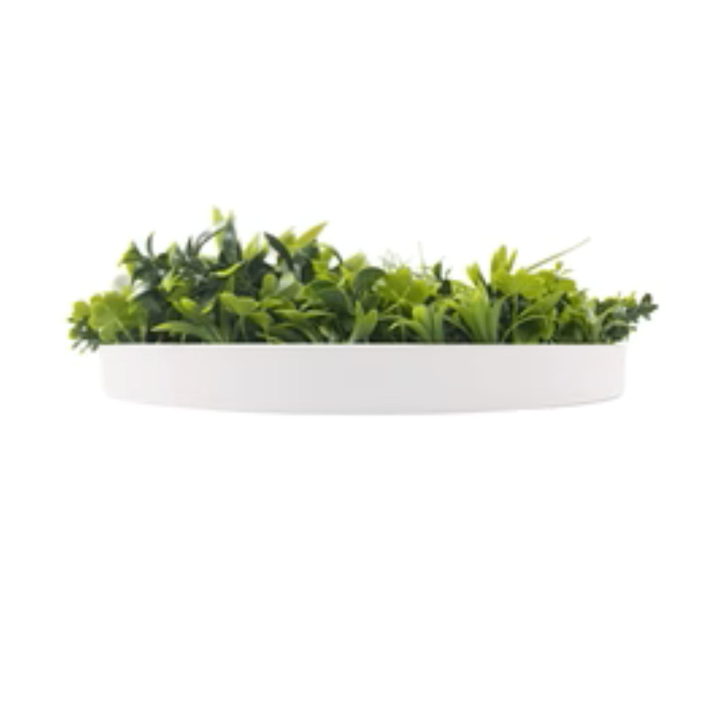 modern artificial greenery disc décor