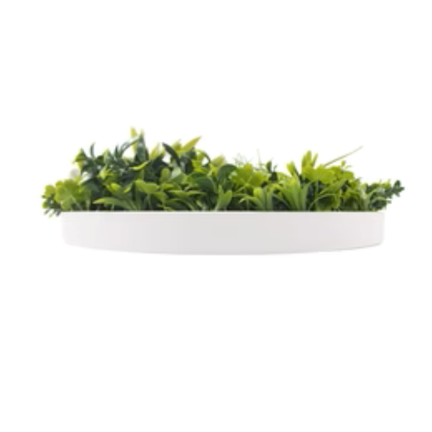 white metal frame green wall disc with lifelike greenery