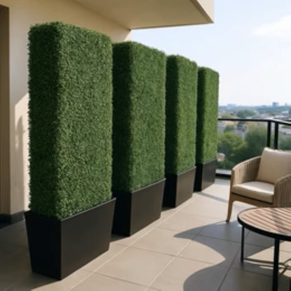 Boxwood privacy hedge installed in a commercial or outdoor setting