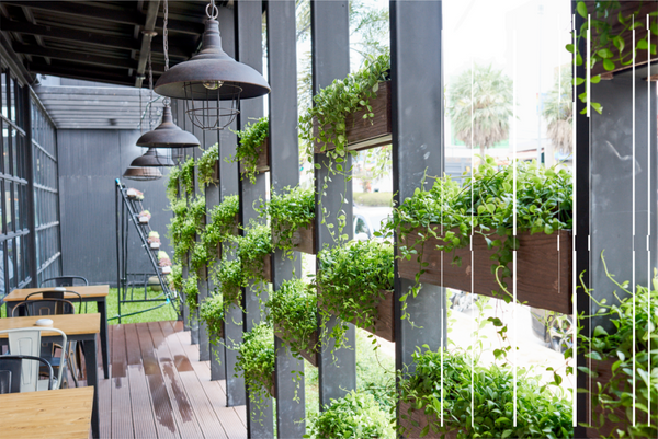 Artificial Hanging Plants, Garlands and Bushes