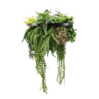 black framed hanging disc with tropical greenery