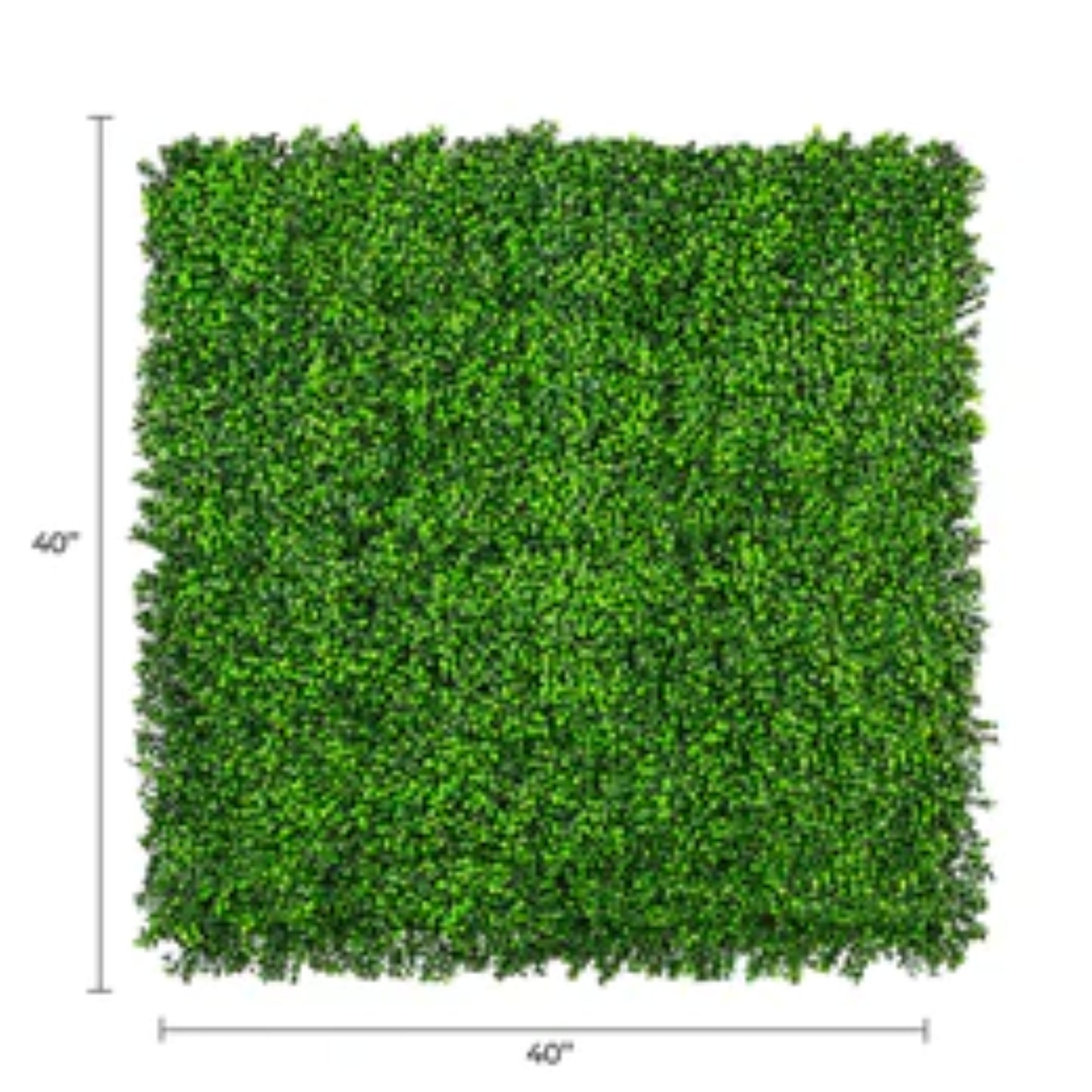 bright artificial boxwood wall panel 40x40 with dimensions