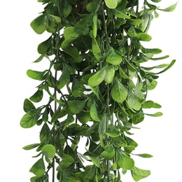 UV-resistant creeping fig foliage for indoor and outdoor décor