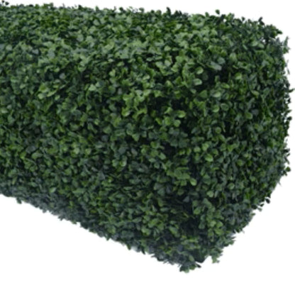 Close-up of dense green boxwood foliage on artificial hedge