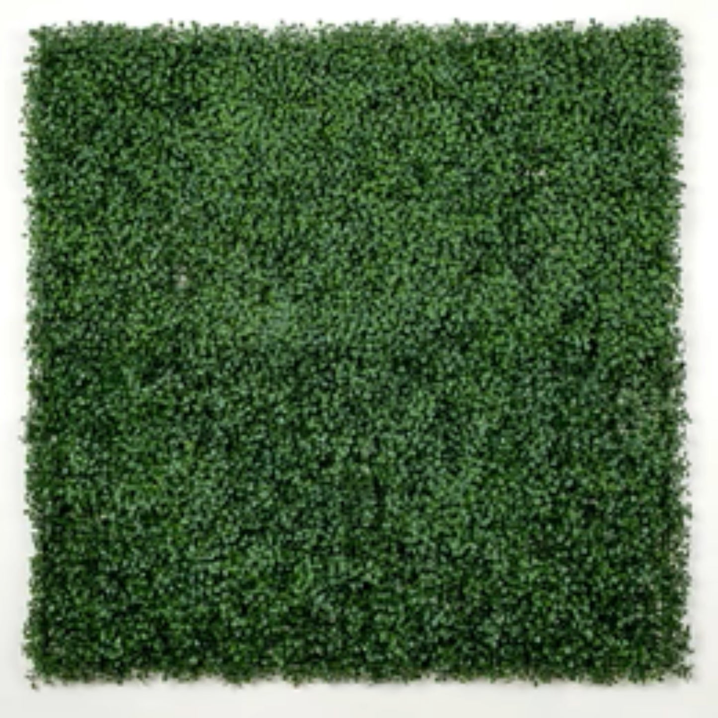 dark artificial boxwood wall panel 40x40