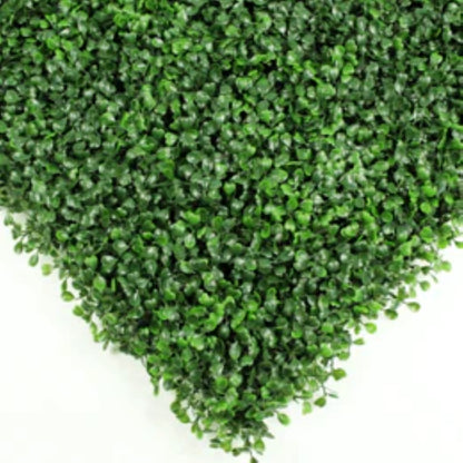 UV-resistant commercial boxwood green wall zoom view