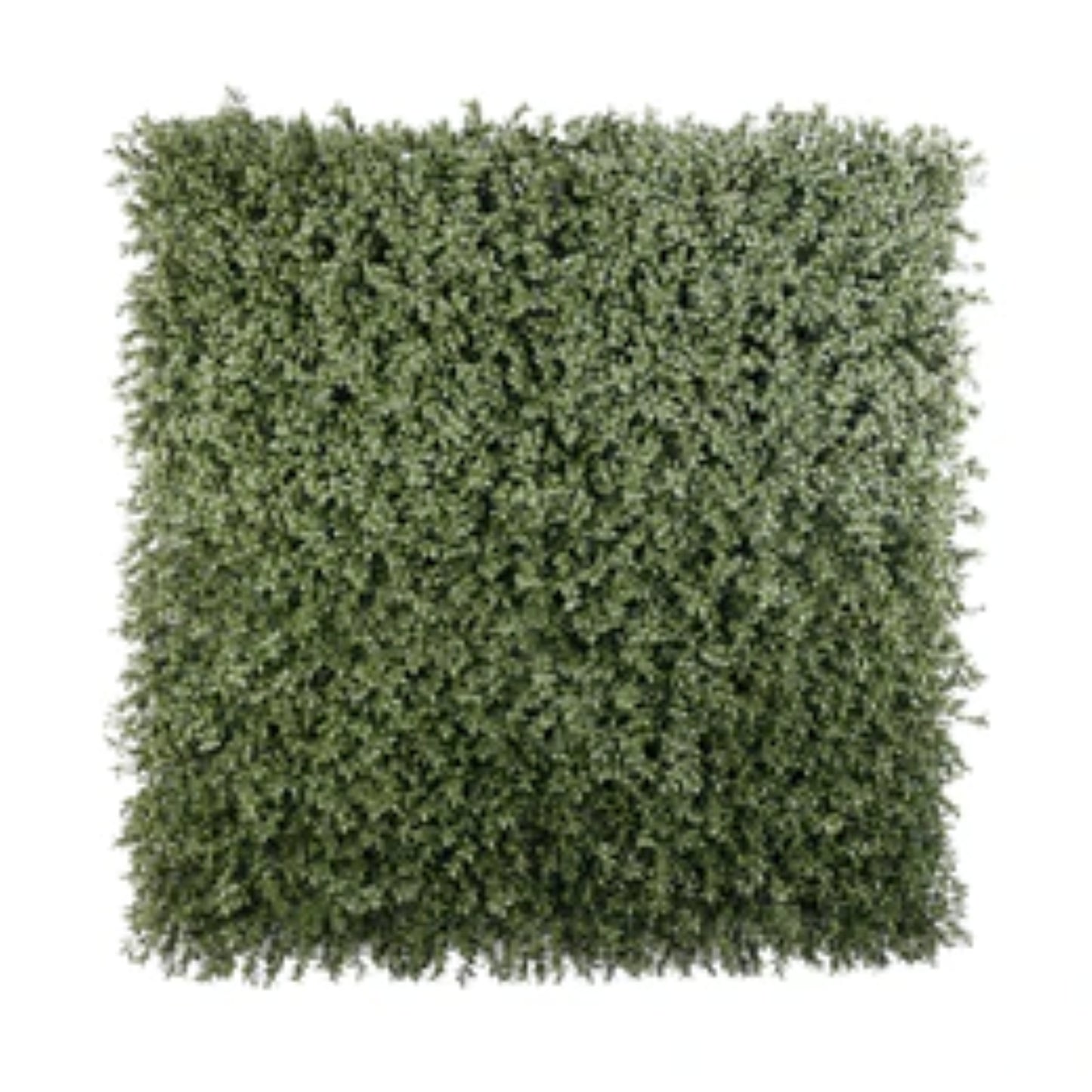 Dark green extra dense boxwood foliage panel measuring 40 by 40 inches