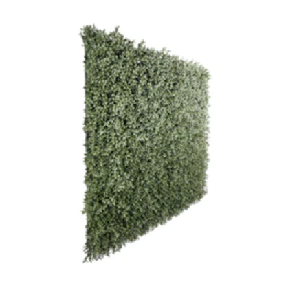 Close-up of thick artificial boxwood leaves on hedge wall panel