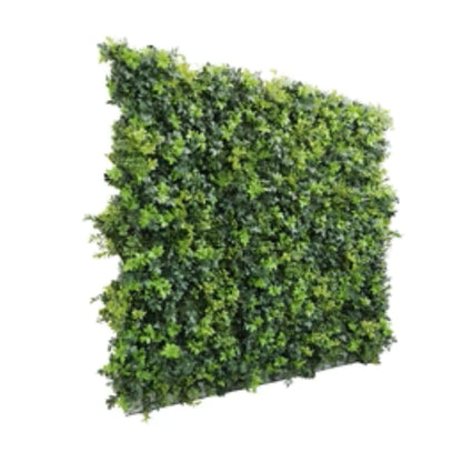 Boxwood panel installed in a hospitality, retail, or outdoor setting