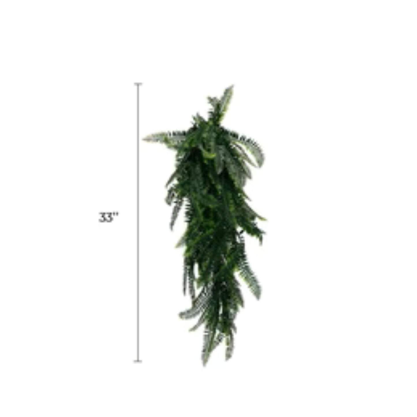 UV-resistant Boston fern foliage for indoor and outdoor décor