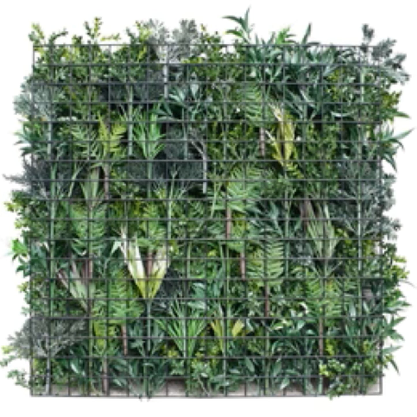 Metal-backed UV-resistant commercial green wall panel
