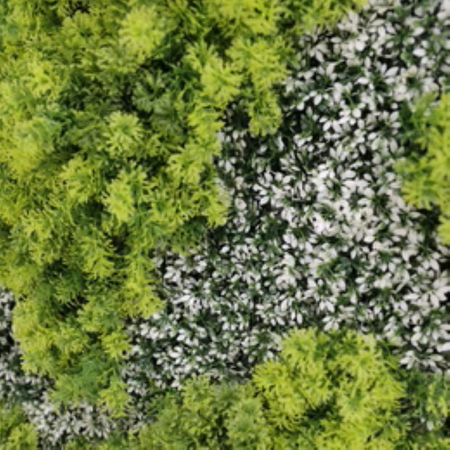 close-up of green and white artificial foliage on moss wall panel