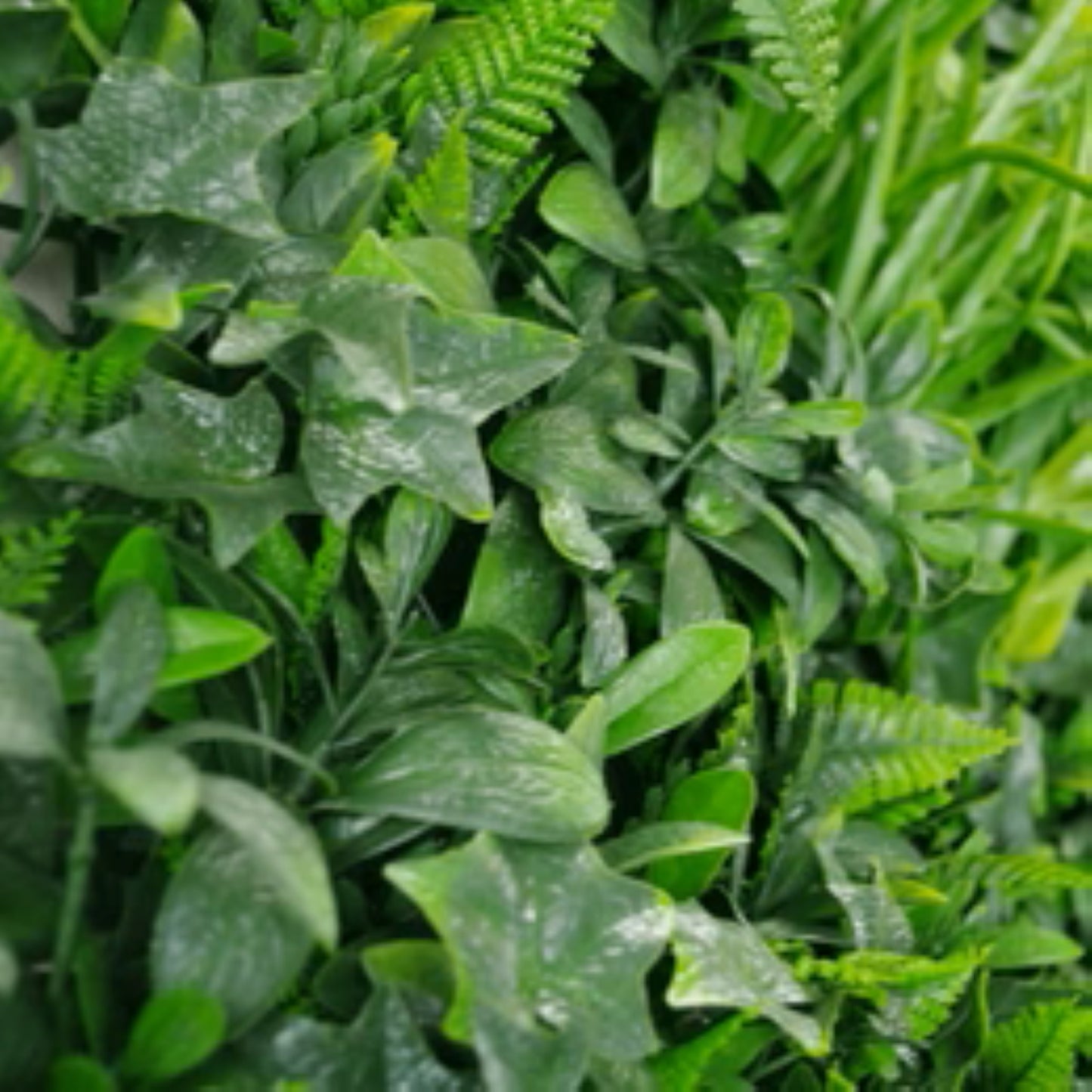 Close-up of tropical foliage on Green Tropics artificial vertical garden
