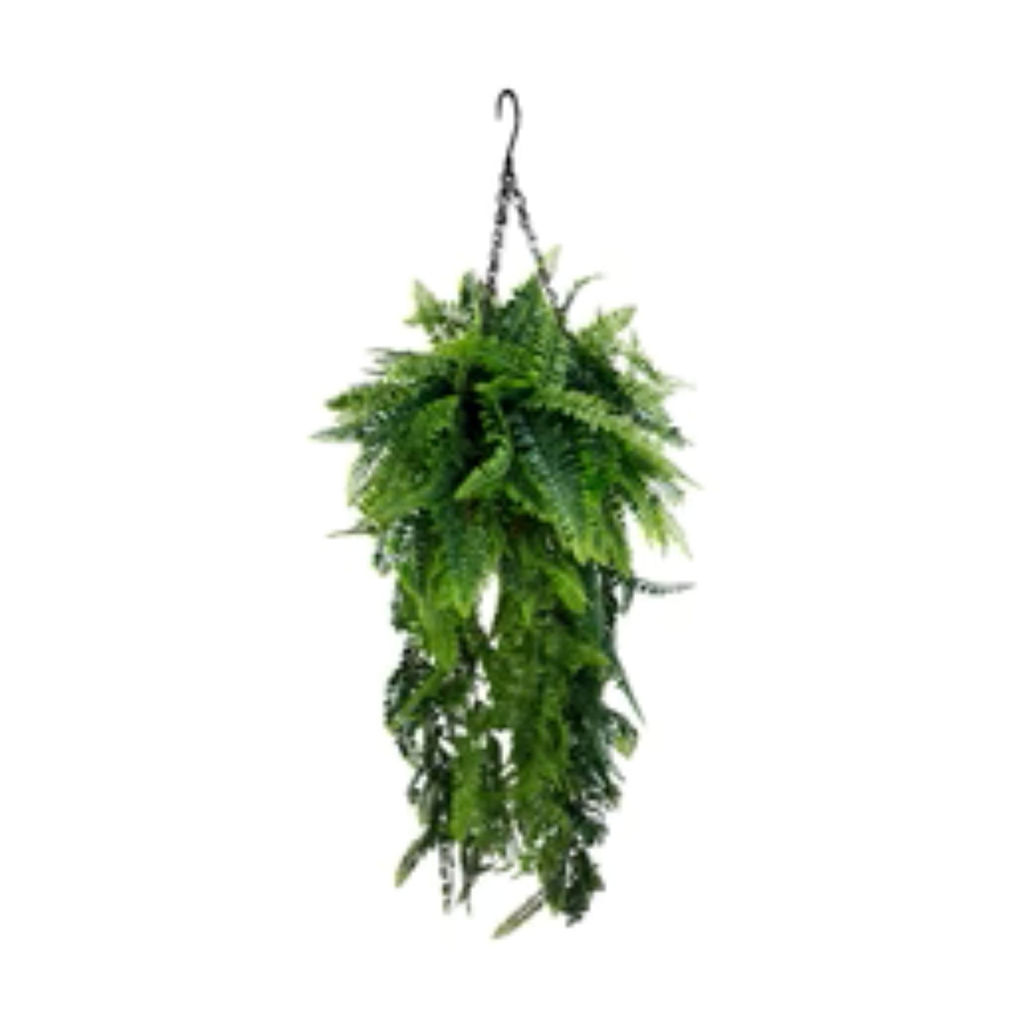 UV-resistant artificial fern décor for patios and entryways