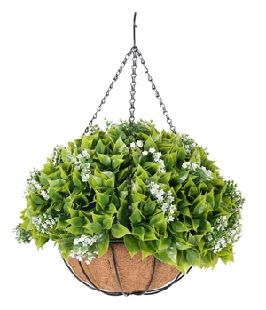 Hanging Plants and Baskets