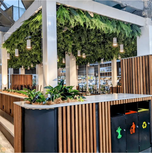 Hanging Stems And Vines