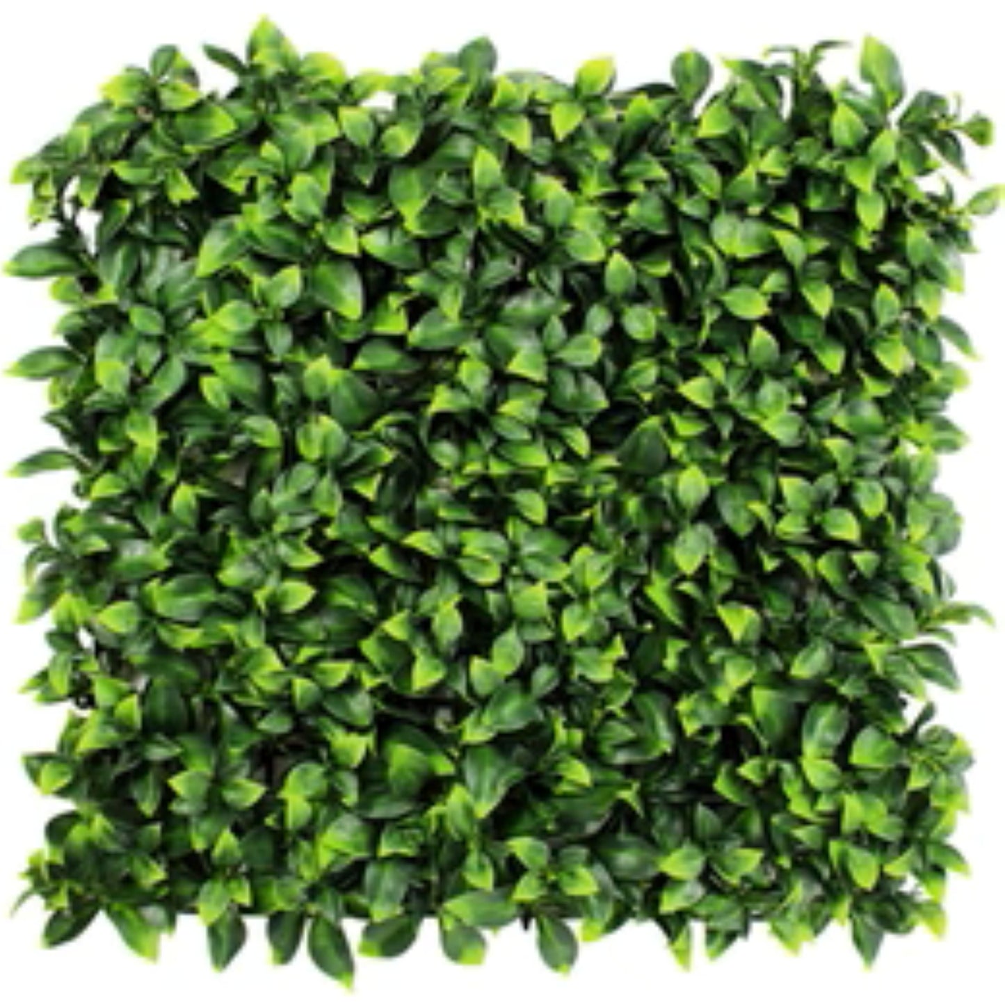 Artificial Jasmine Green Wall panel measuring 40 by 40 inches