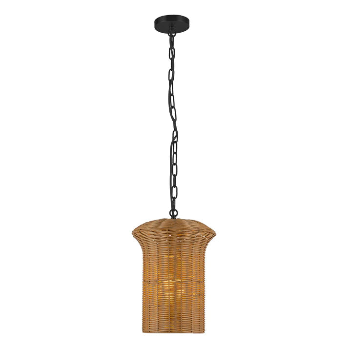 11" Pendant<br>
2 Finishes<br>
$201.00