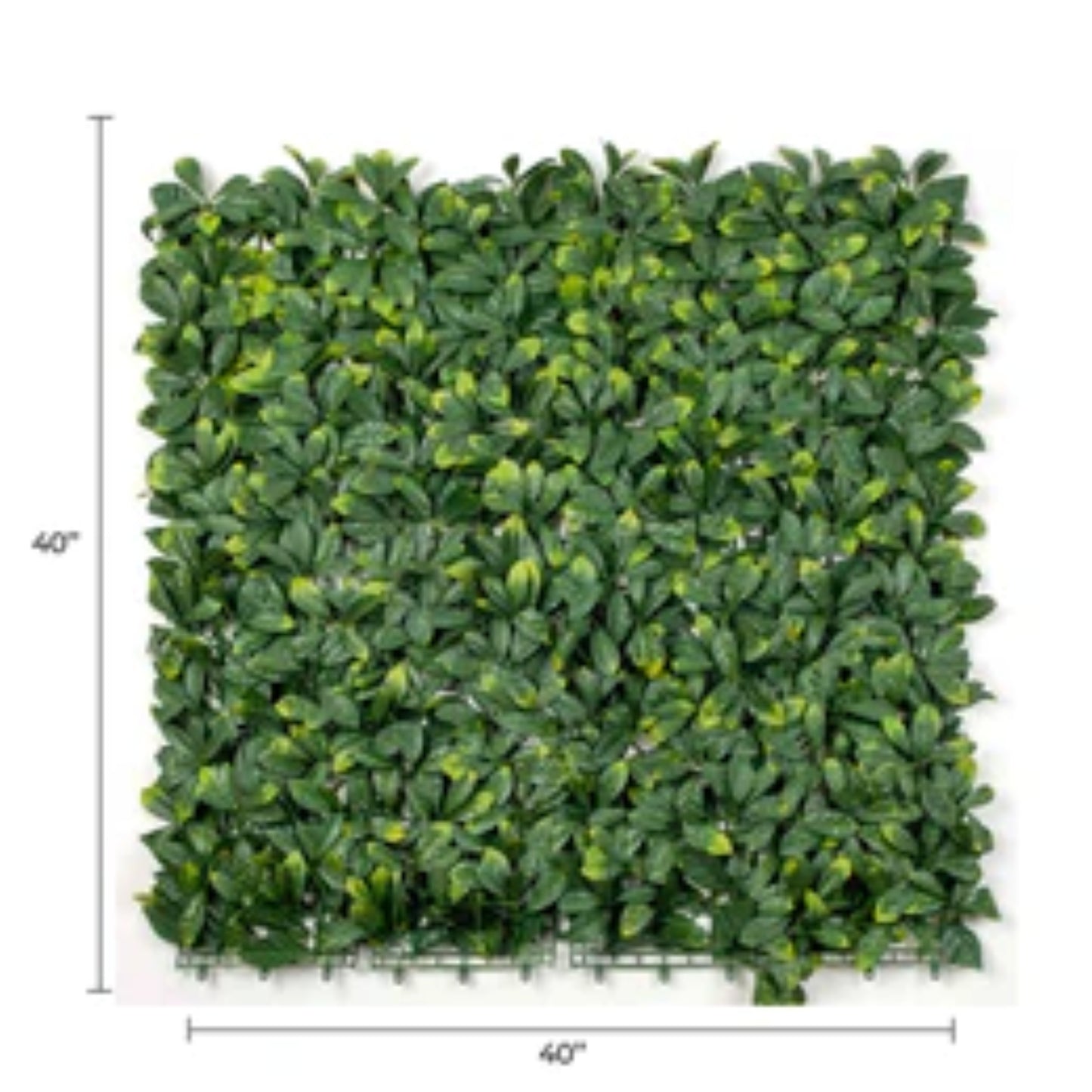 Close-up of realistic laurel foliage on an artificial living wall