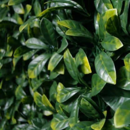 aurel faux living wall panel shown installed on a vertical surface