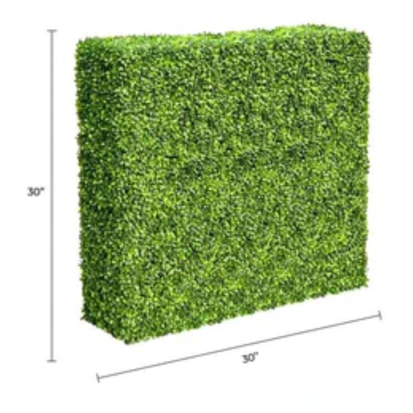 Premium light green artificial boxwood hedge measuring 30 by 30 inches with dimensions