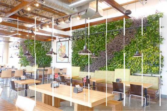 Living Wall Panels