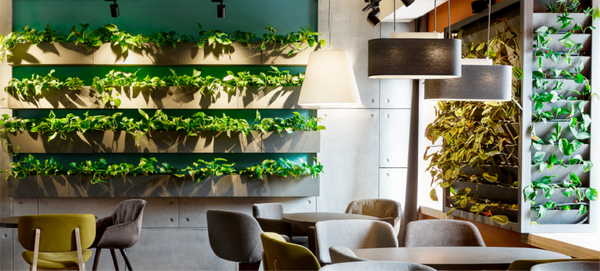 Living walls and plants