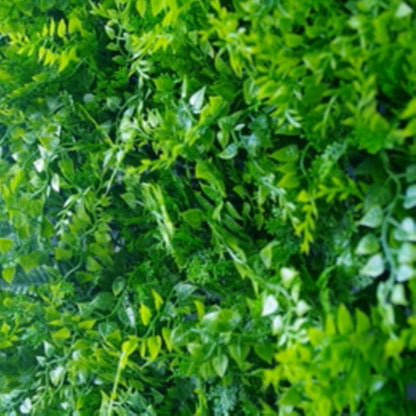 Close-up of dense fern foliage on artificial green wall panel
