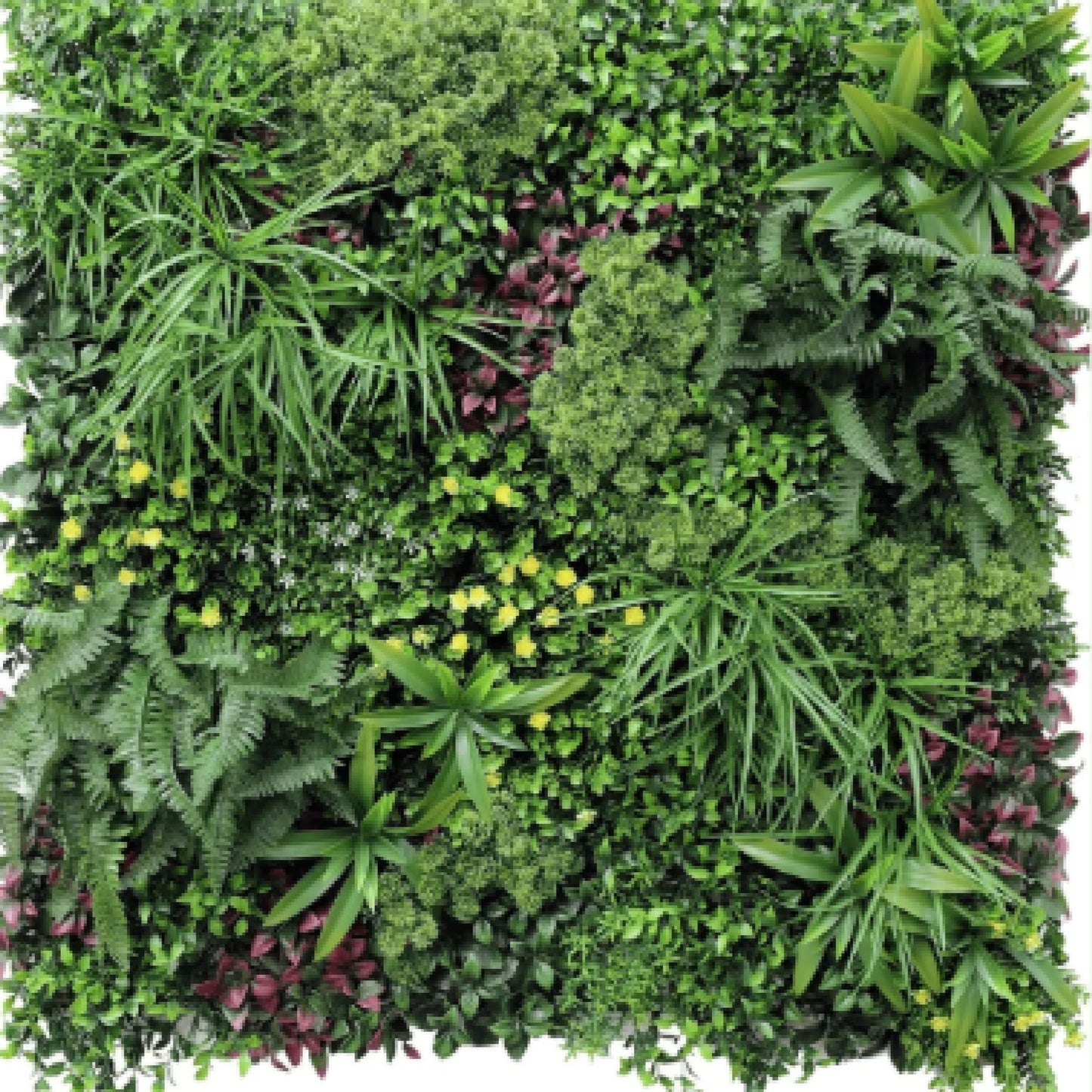 Luxury Country Fern artificial vertical garden panel measuring 40 by 40 inches