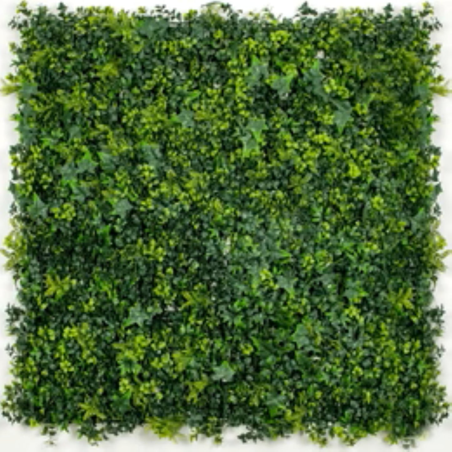 Premium Mixed Ivy Spring Sensation artificial green wall panel measuring 40 by 40 inches