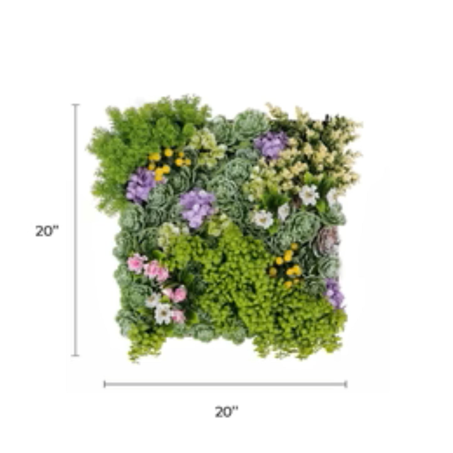 Artificial moss and succulent wall art frame measuring 20 by 20 inches with dimensions