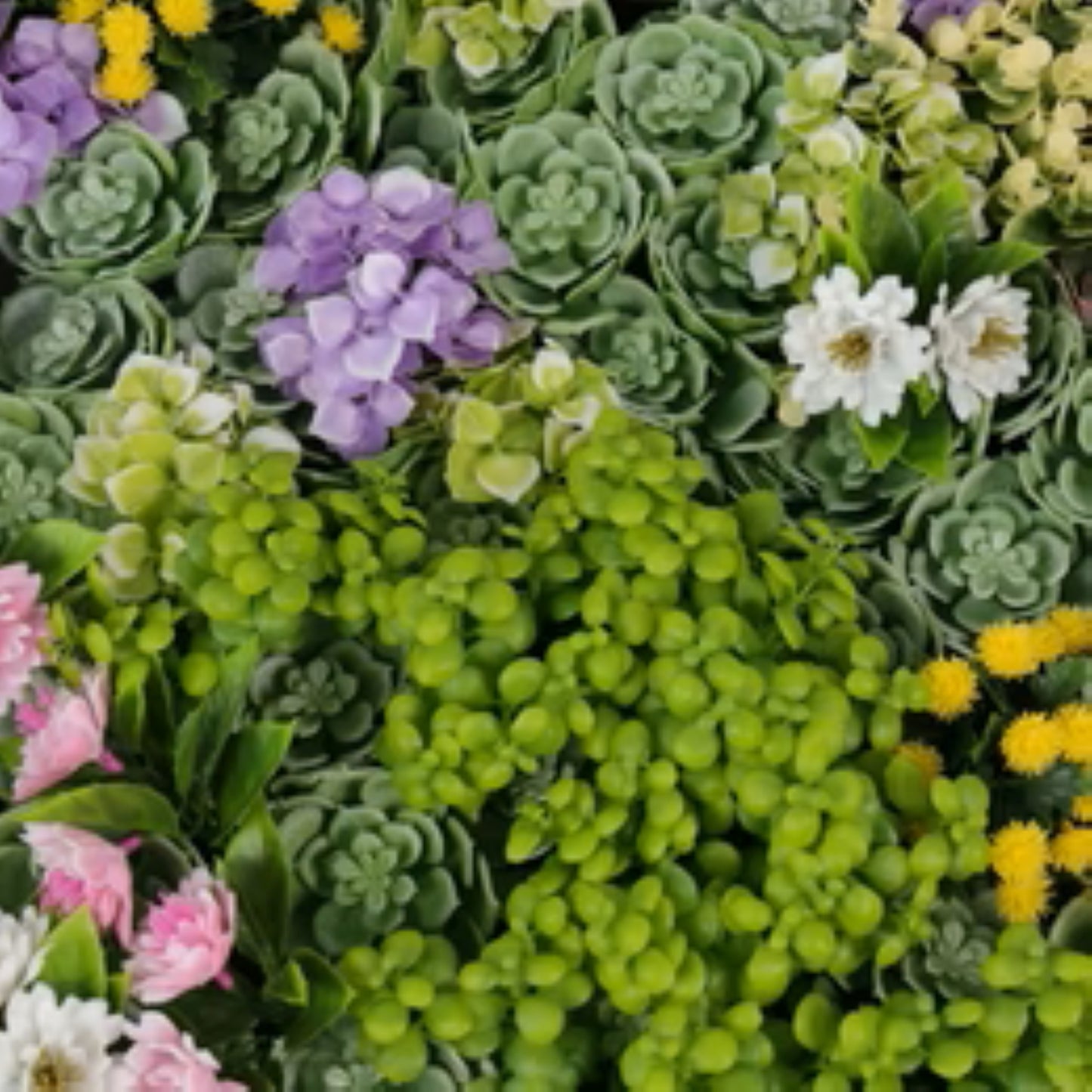 Close-up of succulents and moss on hanging artificial green wall panel