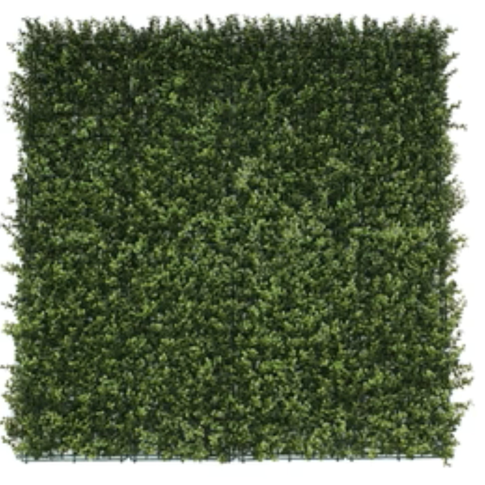 natural artificial boxwood wall panel 40x40