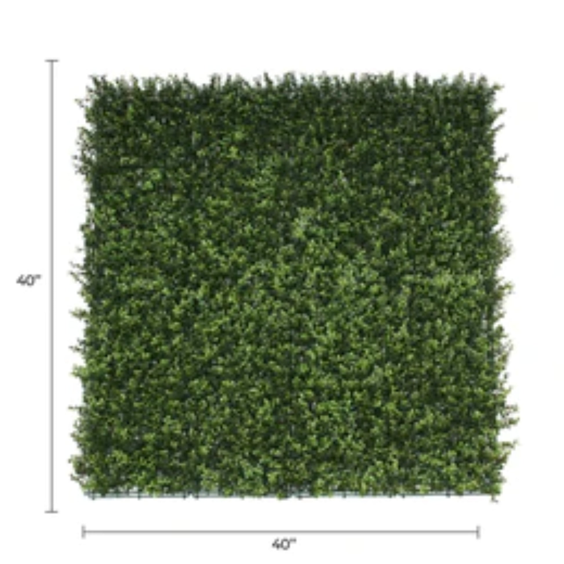 natural artificial boxwood wall panel 40x40 with dimensions