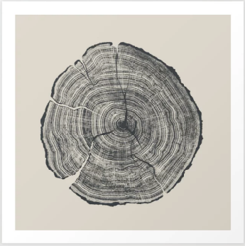 Cross-section of a tree trunk with visible growth rings on a beige background