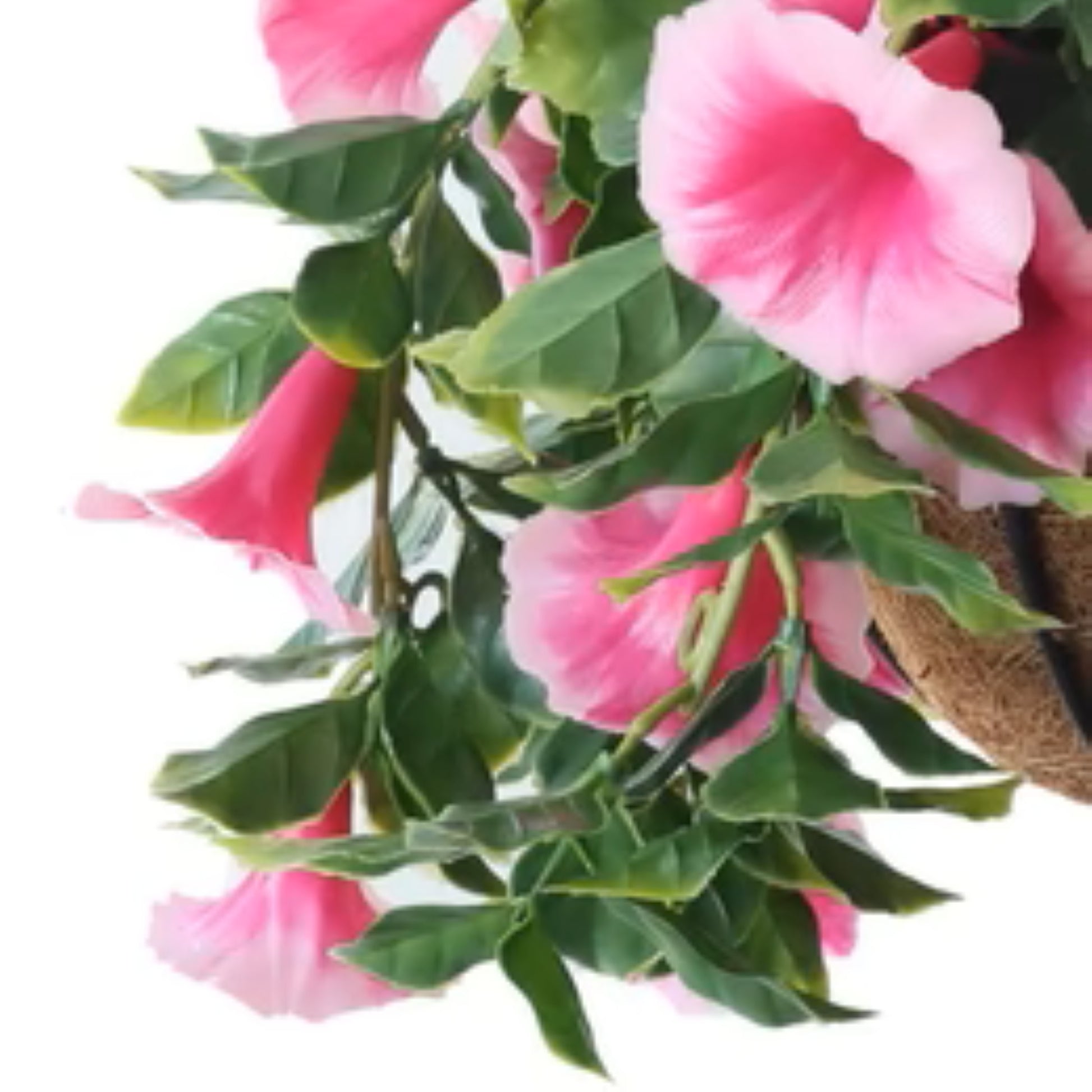 Outdoor-proof pink petunia floral arrangement