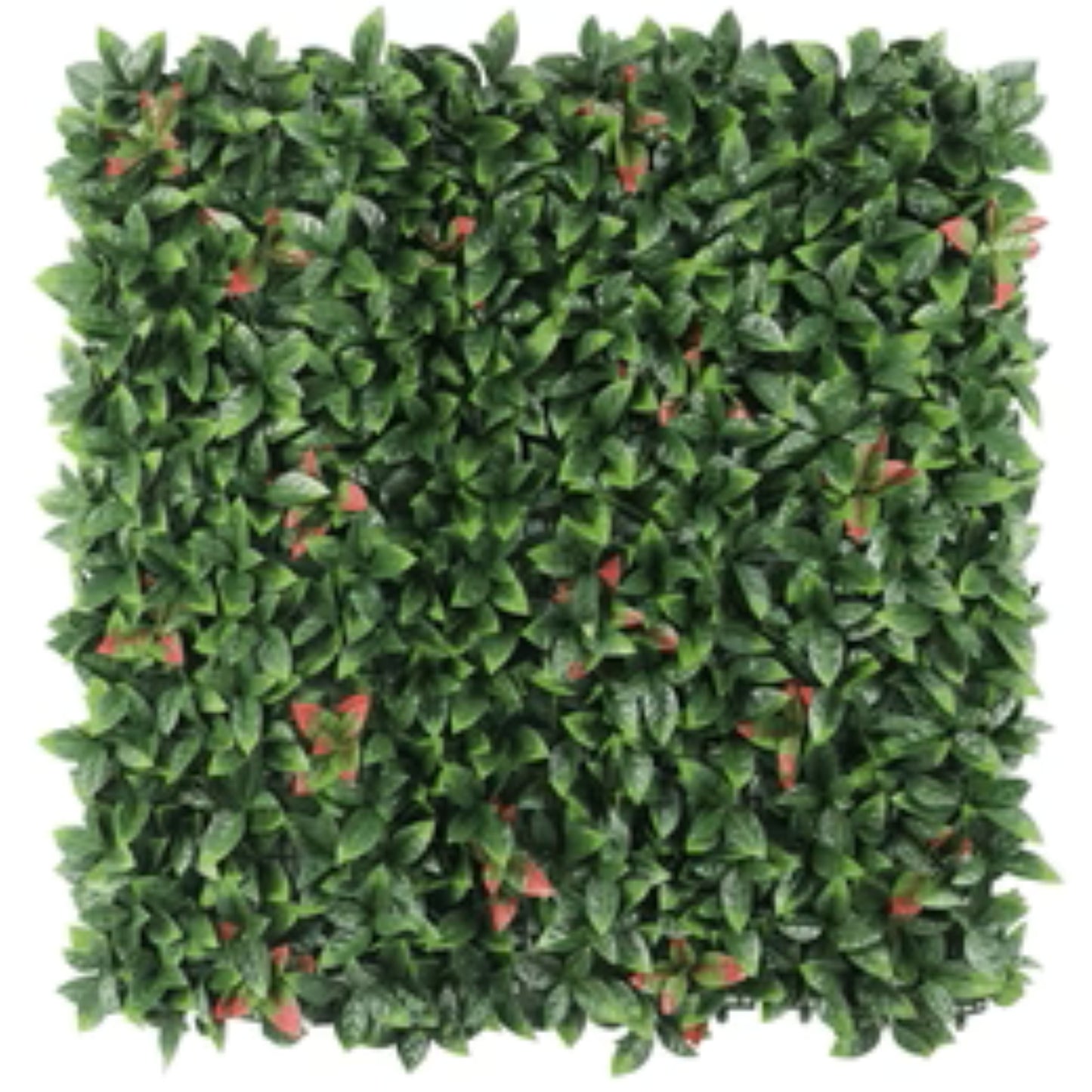 Artificial Photinia Hedge Panel Wall measuring 40 by 40 inches