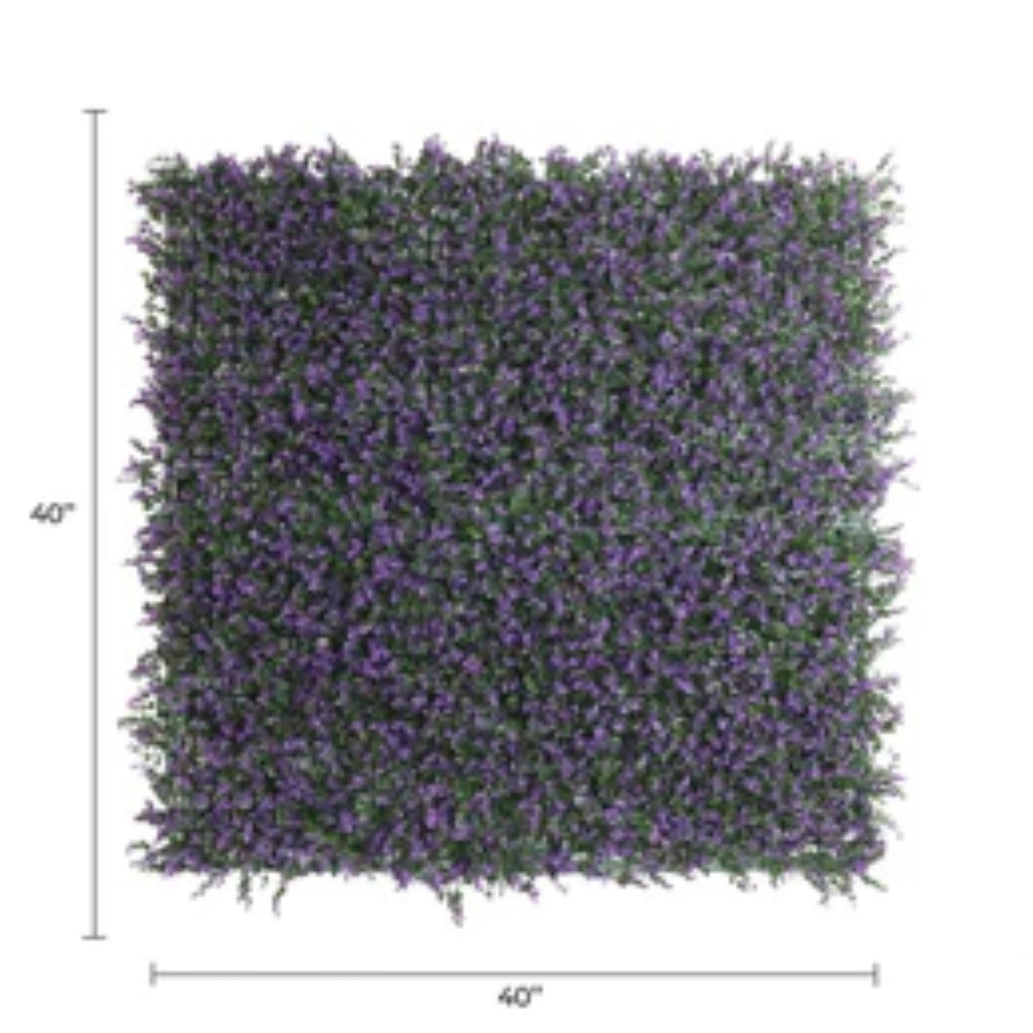 • Close-up of dense purple lavender leaves on artificial green wall with dimensions
