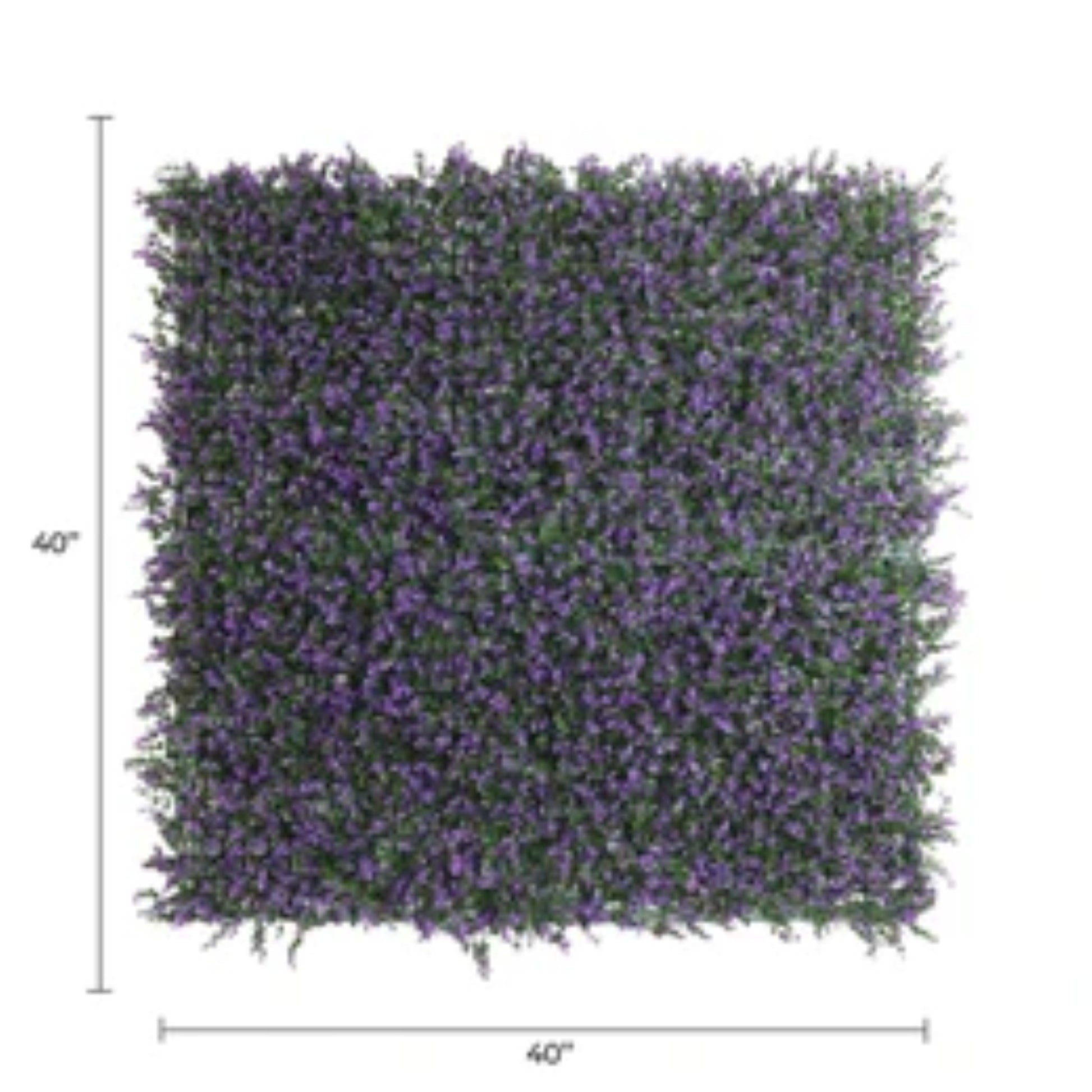 • Close-up of dense purple lavender leaves on artificial green wall with dimensions