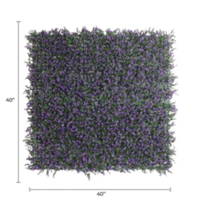 • Close-up of dense purple lavender leaves on artificial green wall with dimensions