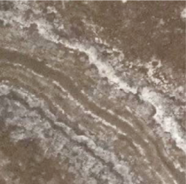 Close-up of a textured brown and gray surface