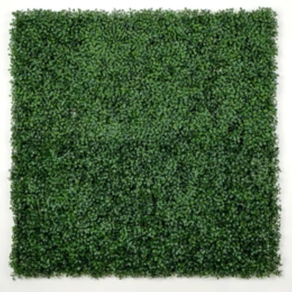 dark artificial boxwood wall panels 40x40 set