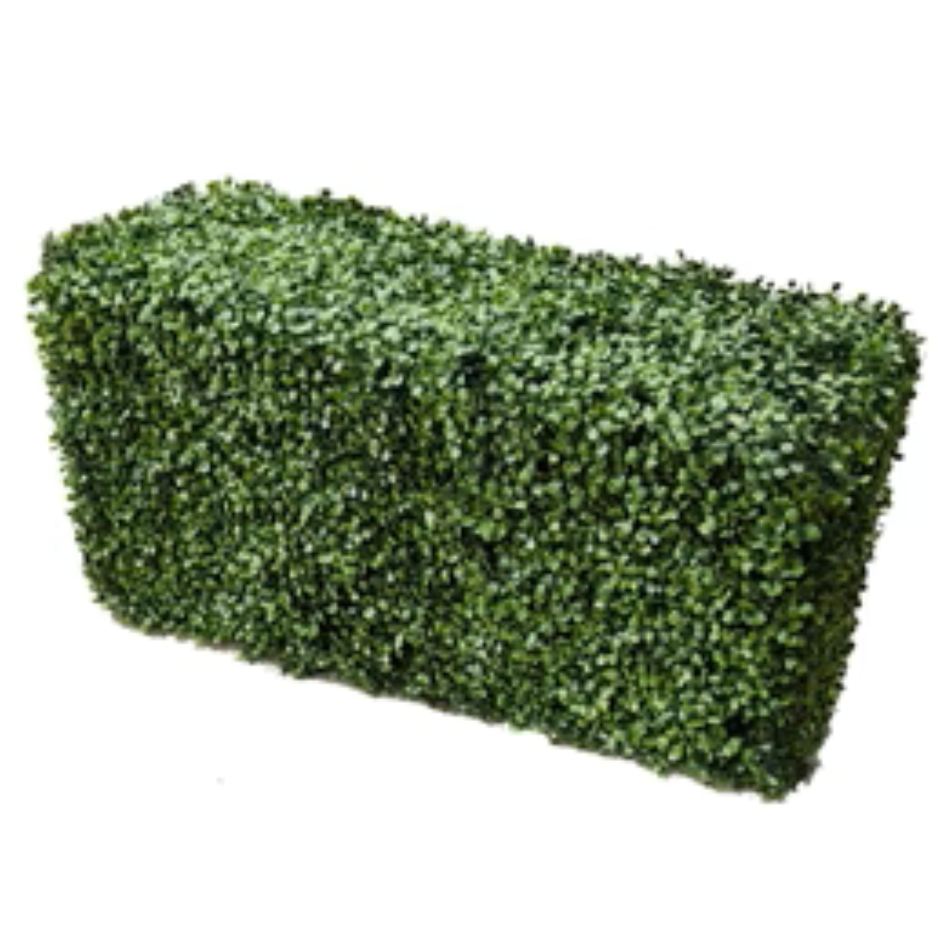 Two-tone green artificial boxwood hedge measuring 40 by 20 inches