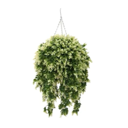 Artificial spring evergreen hanging basket with cascading foliage