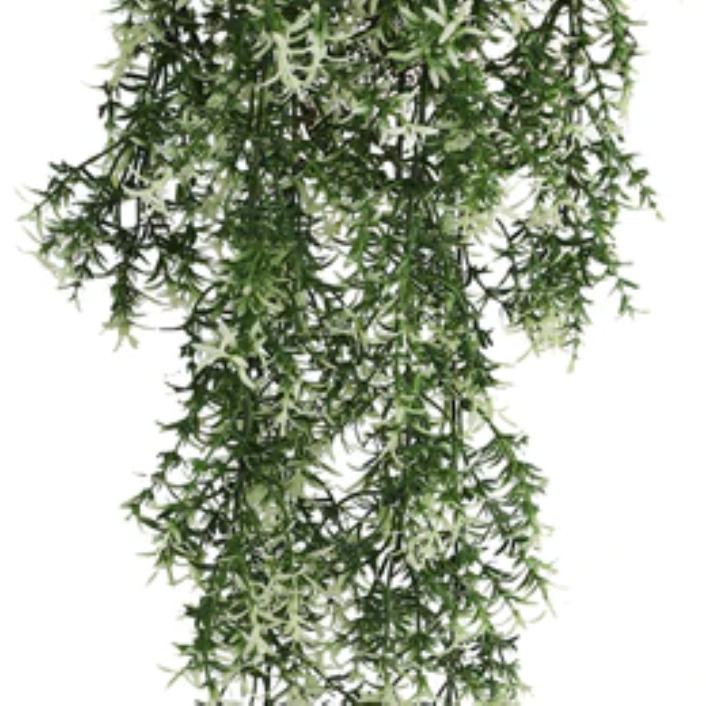 UV-resistant jasmine vine set for indoor and outdoor displays