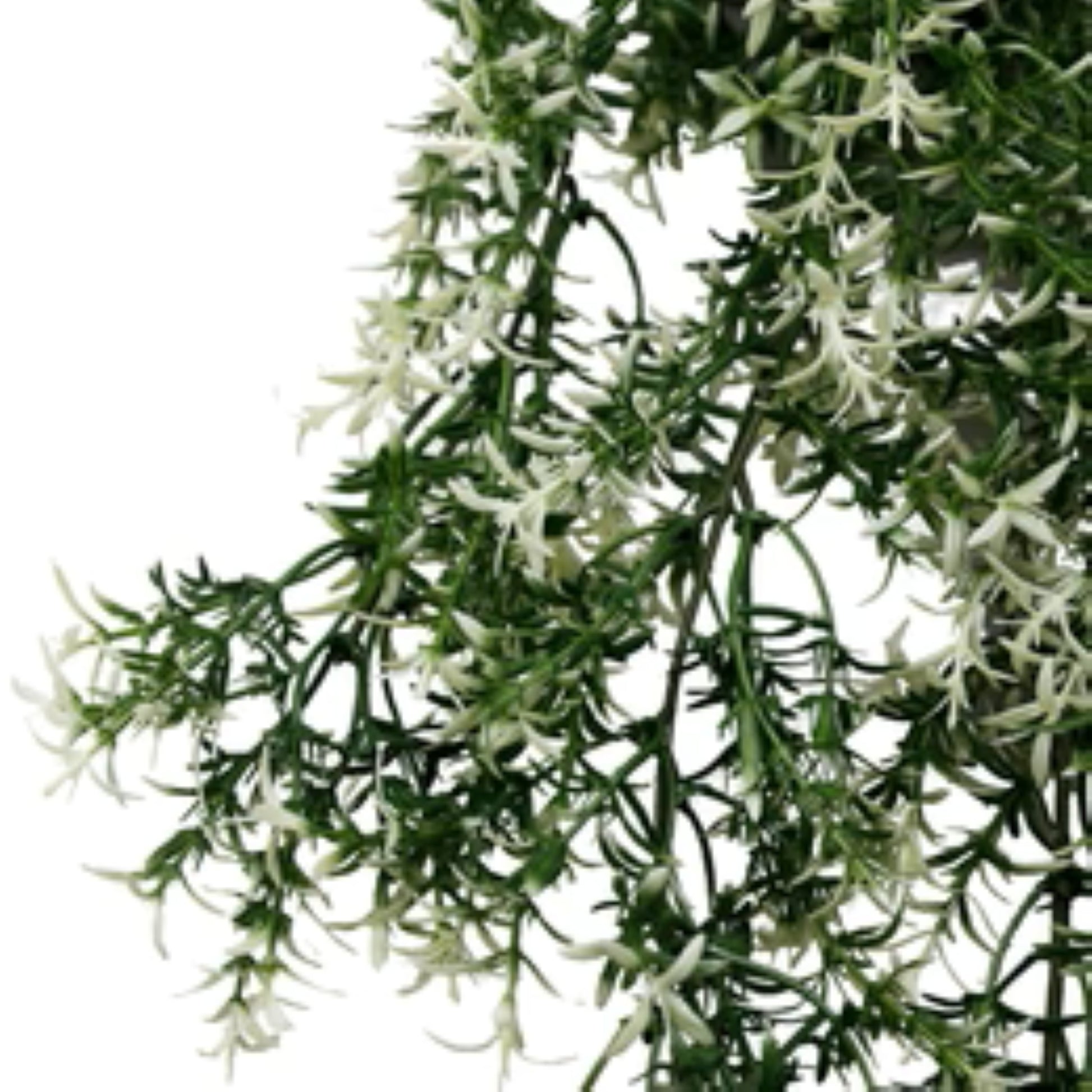 Fire-rated artificial jasmine greenery with cascading foliage
