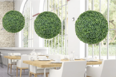 Topiary and Plants