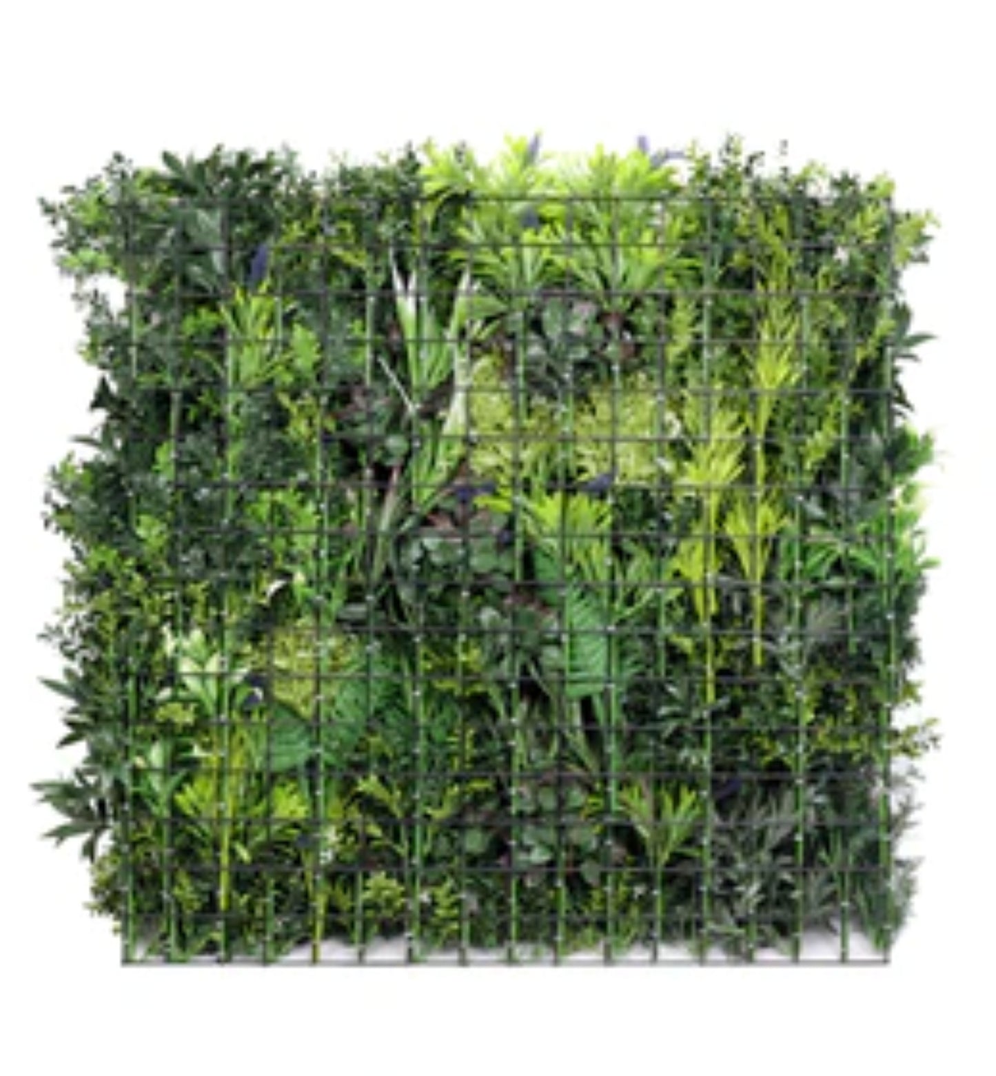 Close-up of tropical leaves, ferns, and lavender accents on green wall panel back view