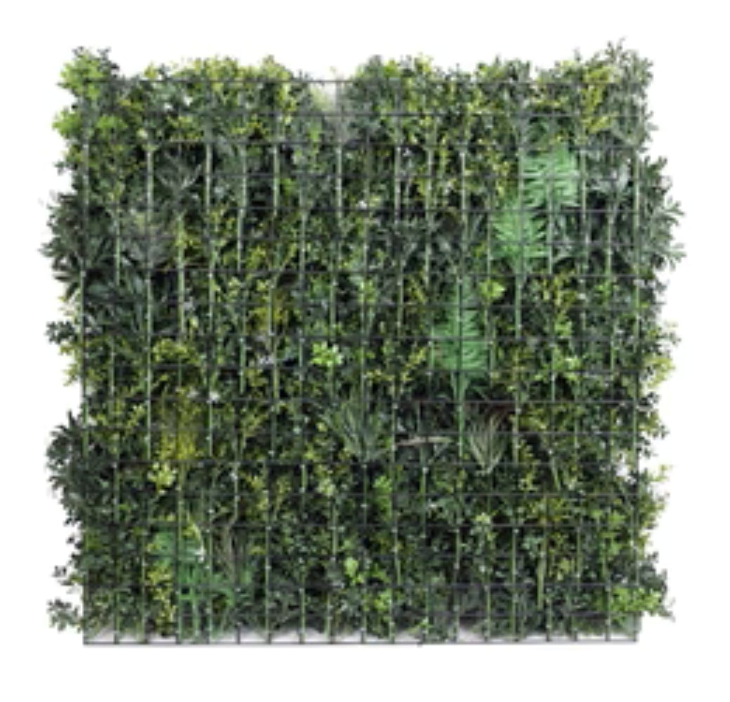 Close-up of dense artificial foliage on Evergreen green wall back view